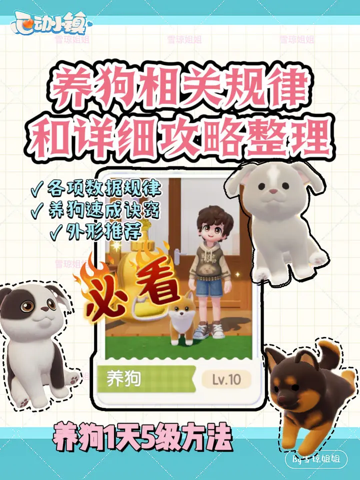 三天升10级 心动小镇养狗详细攻略图2